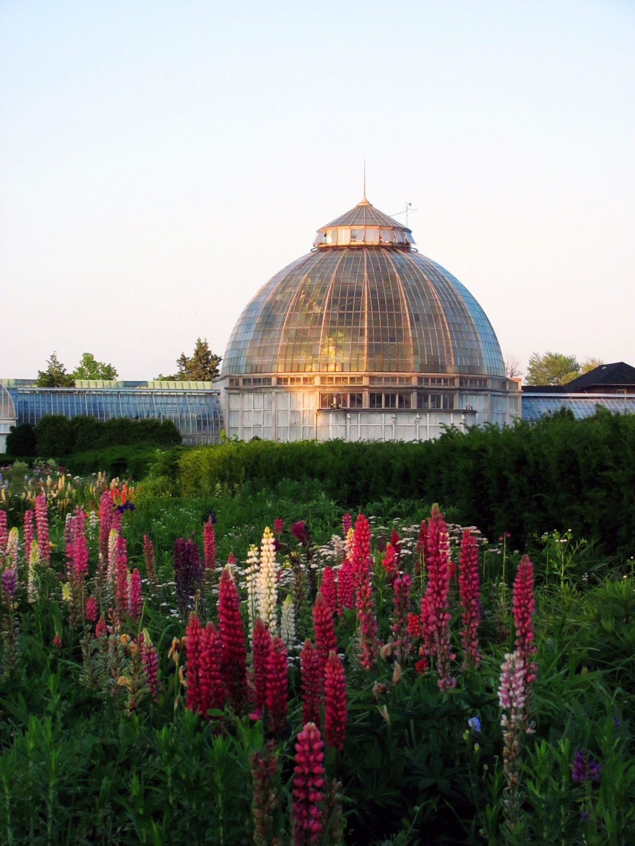 Belle_Isle_Whitcomb_Conservatory (1)