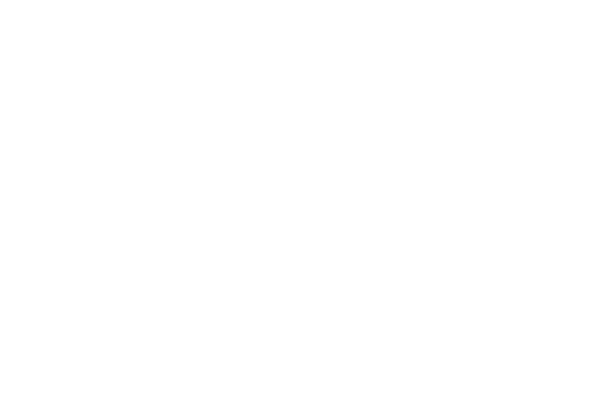 Detroit Web Design